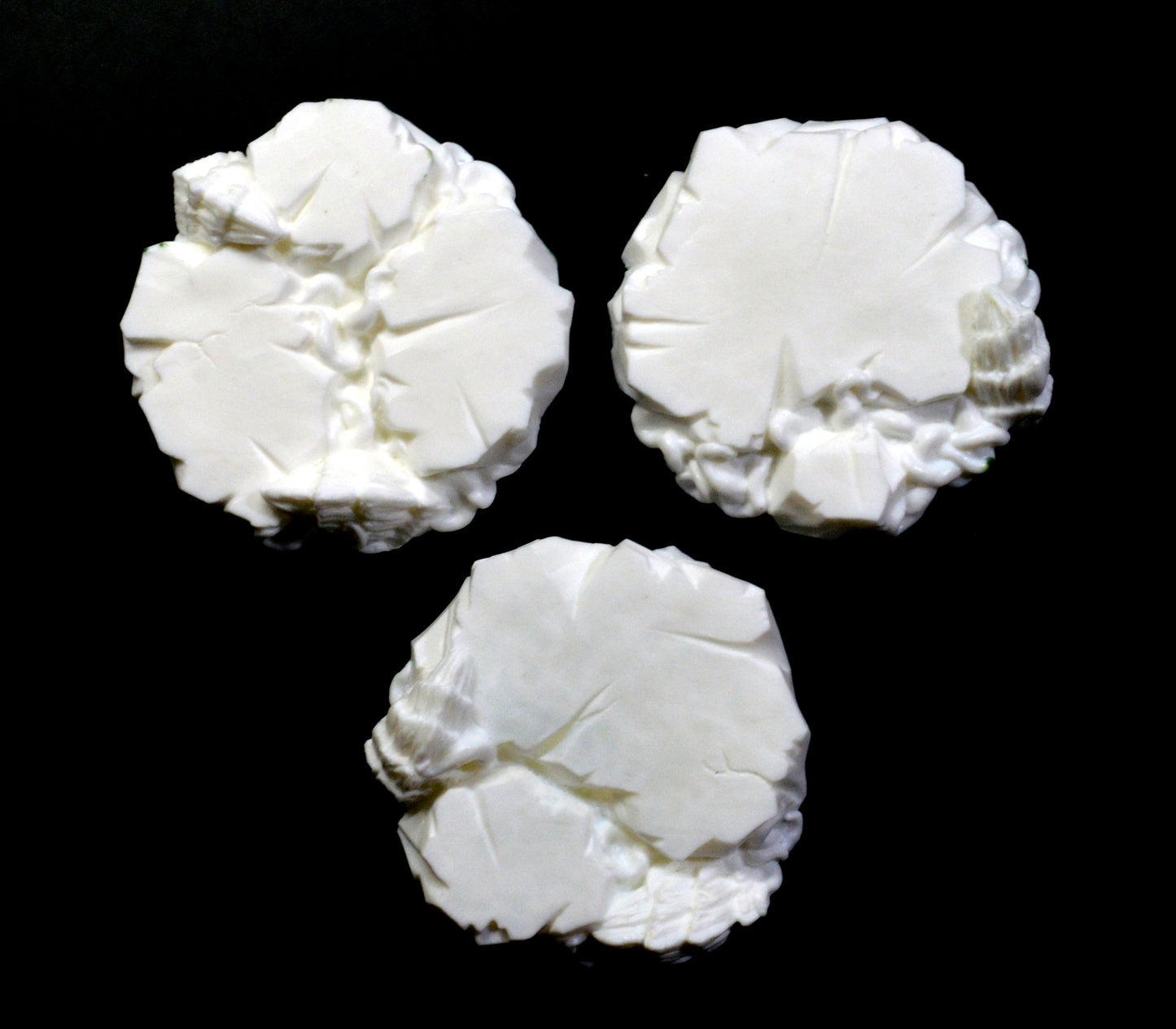 40mm Infestation Inserts x 3