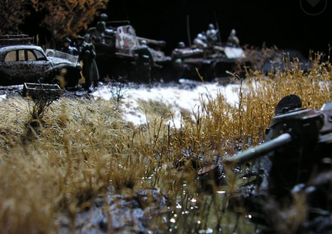 Delicate Tall Dry Grass