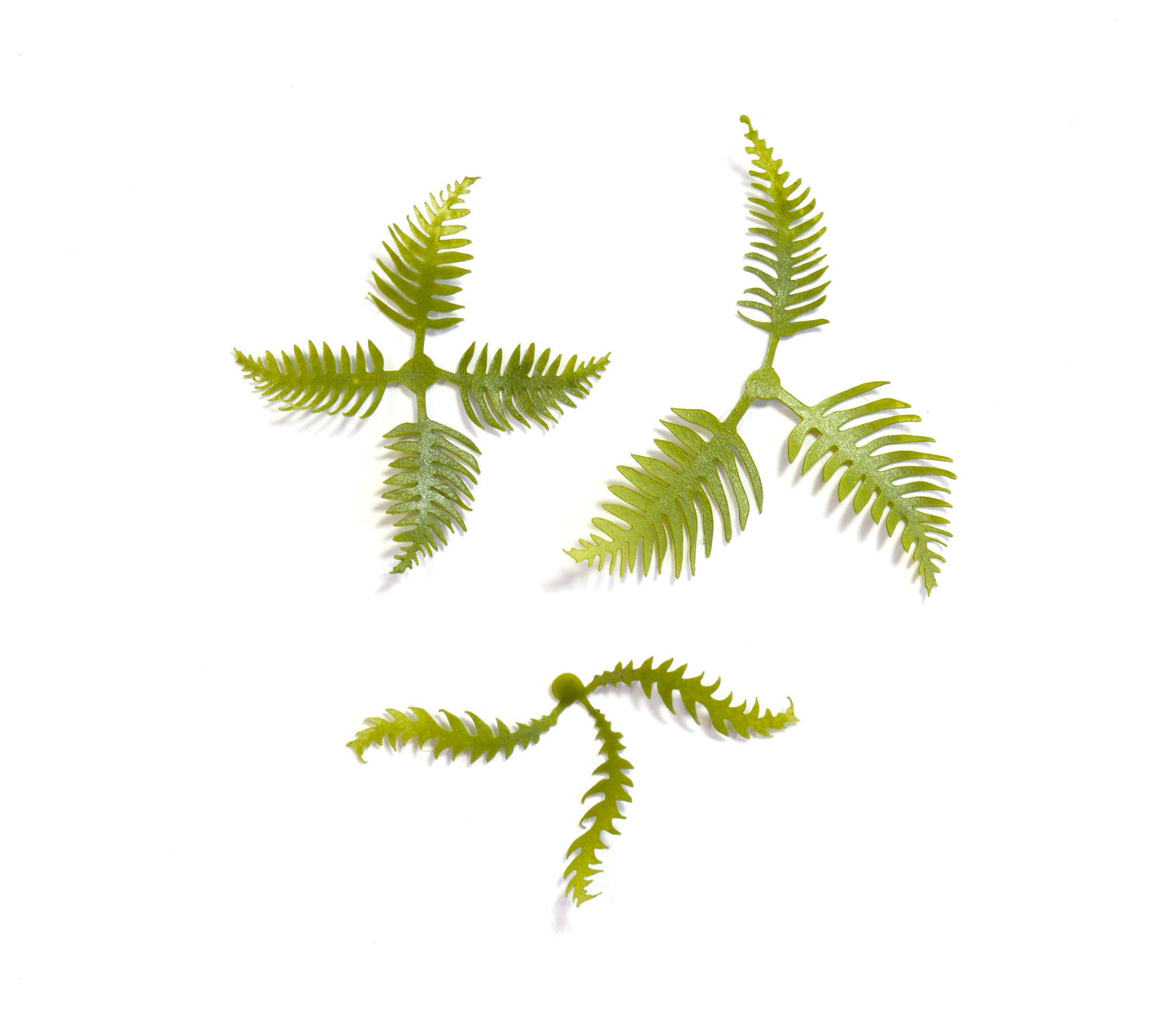 Fern Base Accessories