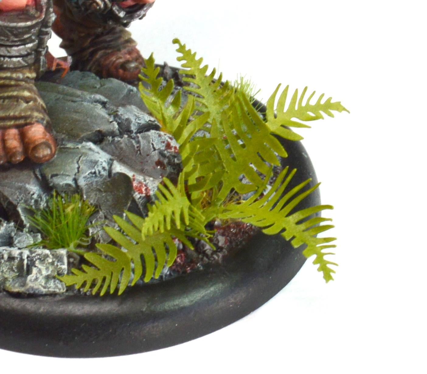 Fern Base Accessories