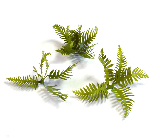 Fern Base Accessories