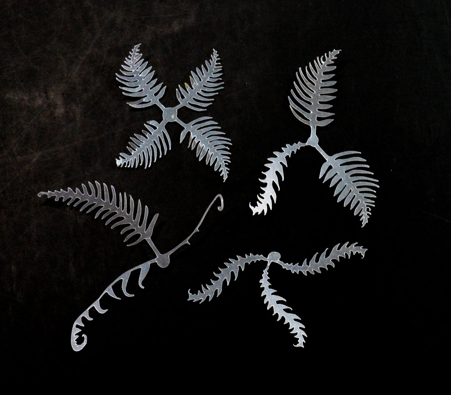 Fern Base Accessories