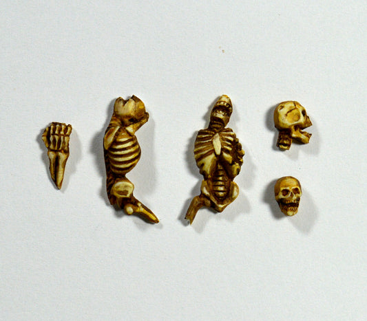 Skeleton Base Accessories x 5