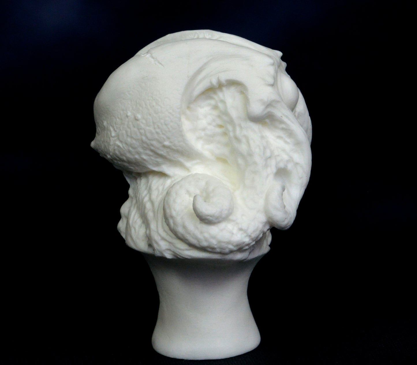 The Space Horror Bust