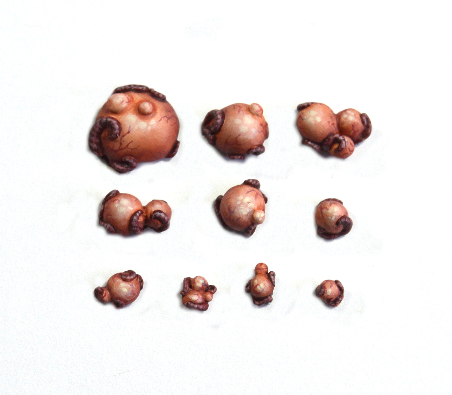 Fungal Growth Base Accessories x 10