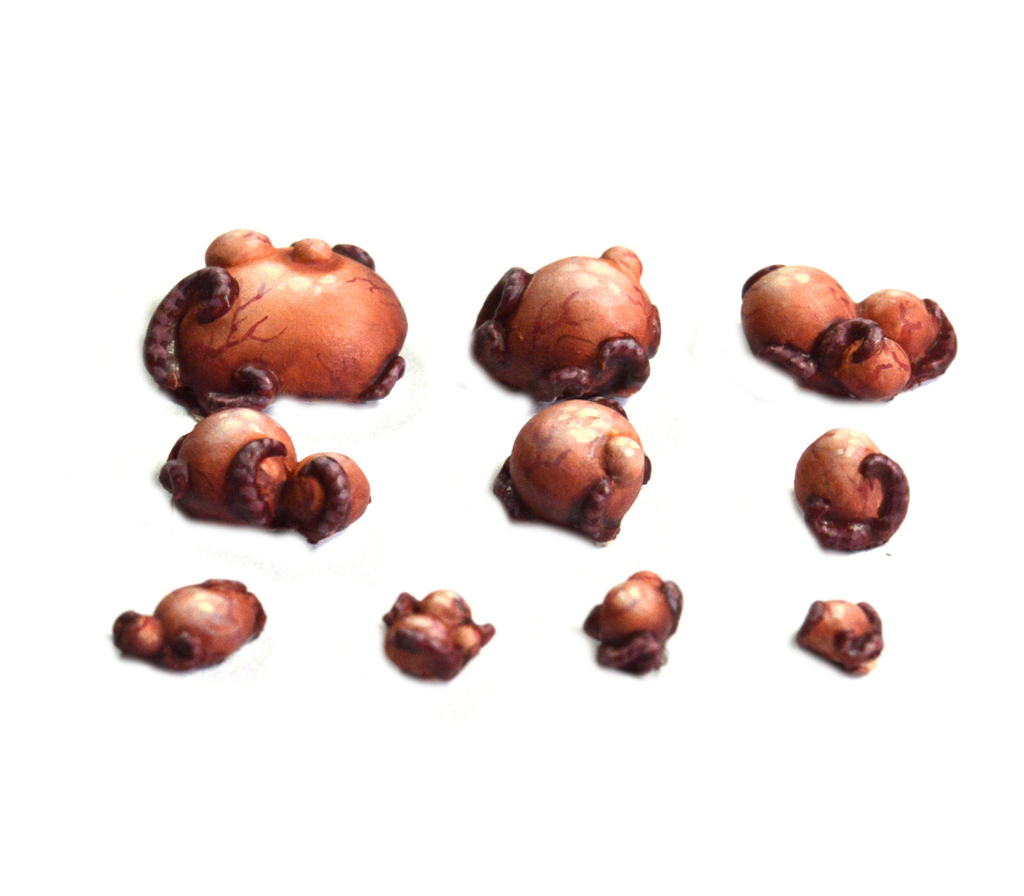 Fungal Growth Base Accessories x 10