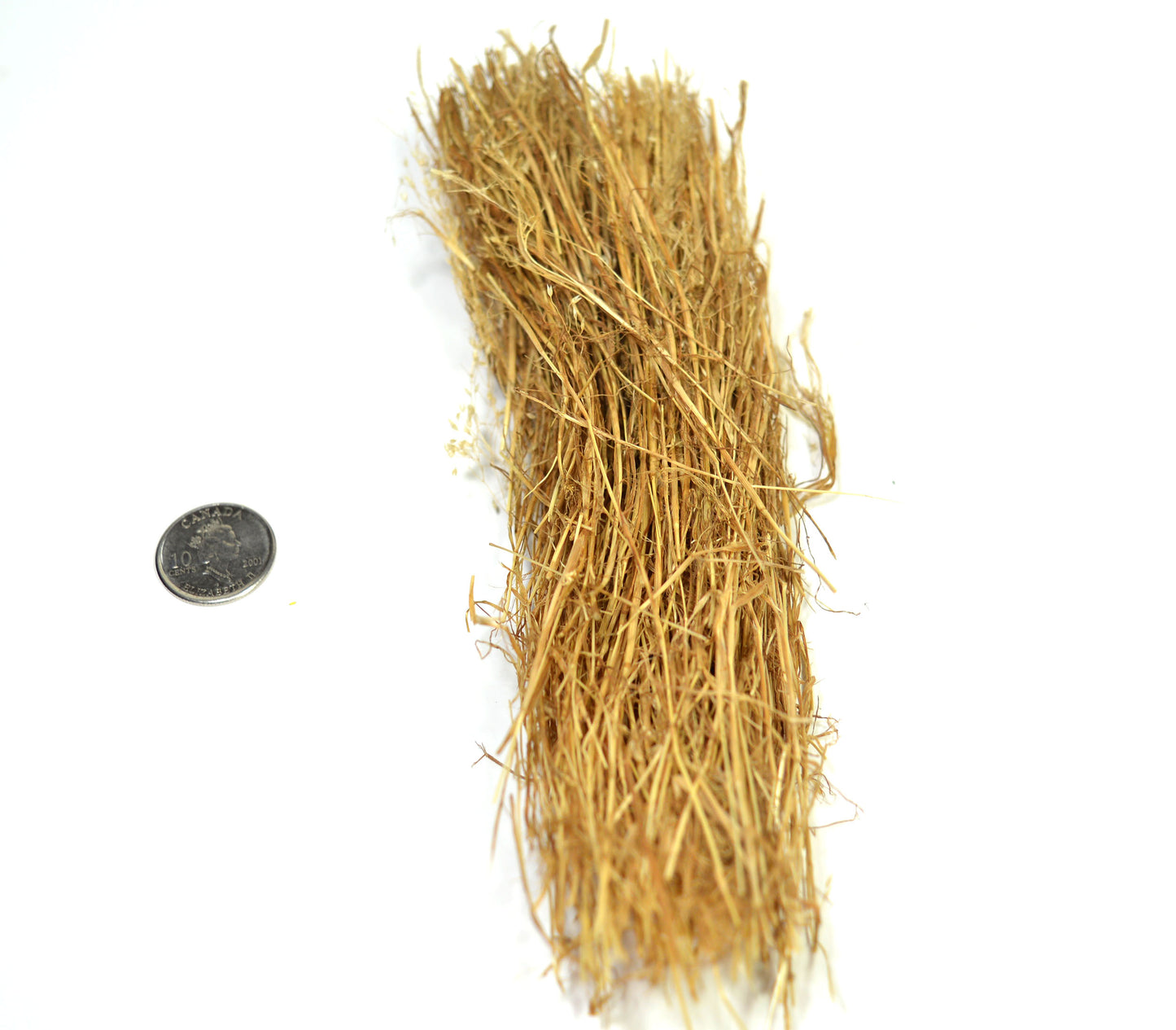 Dry Micro Cane