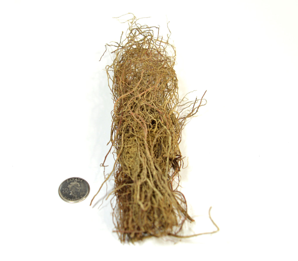 Micro Roots